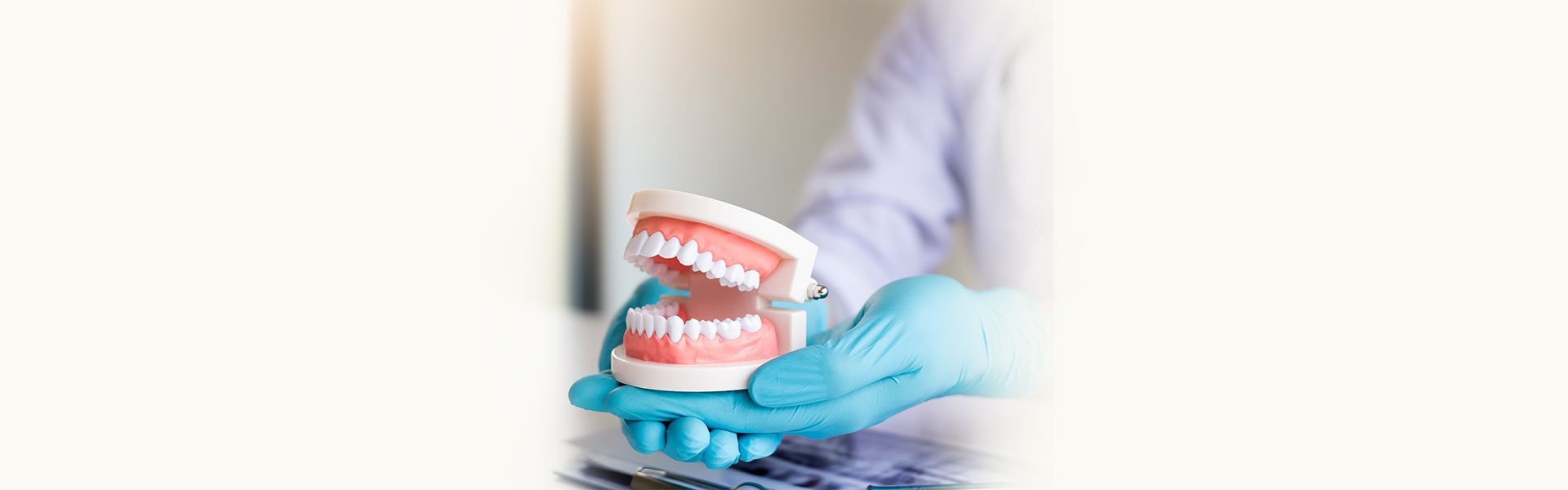 Dentist holding model teeth to explain wisdom tooth extraction in Cambridge